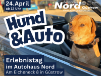 Hund & Auto – Erlebnistag im Autohaus Nord